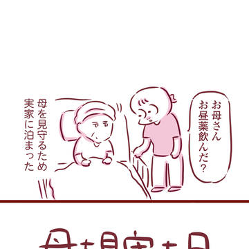 母を見守った日
