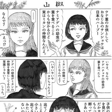 山椒