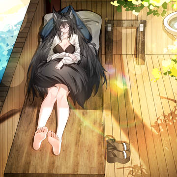 逗猫