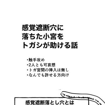【webオンリー】感覚遮断触手穴トガ宮