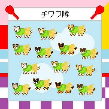 チワワ隊
