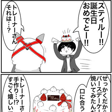 スティルインラブの概念ケーキを作ってみた