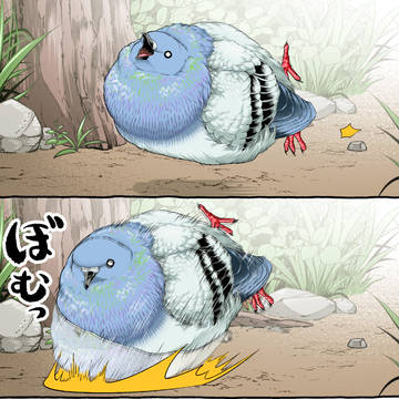 ノーダメ