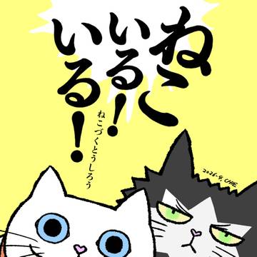 猫の絵本