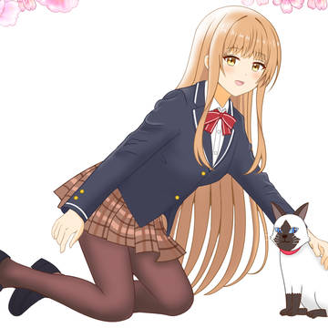 真昼と猫
