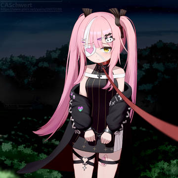 Z47（深夜裸足露出调教）