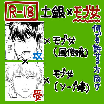 【成人向/土銀×モブ女】プロの女性と致す土銀
