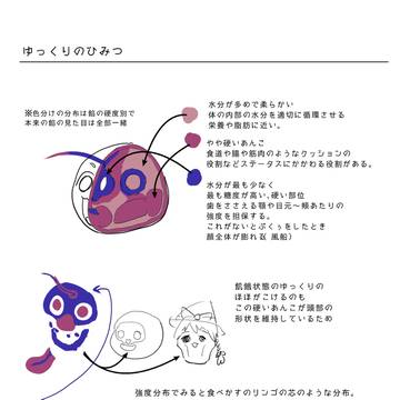 ゆっくりのあんこについて考えていたら夜が明けました（誇張）