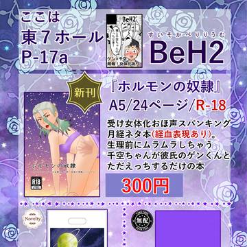 5/6スパコミお品書き東7ホールP-17a