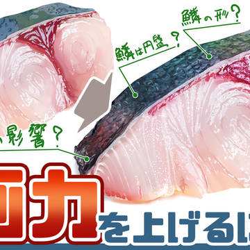 【ワンポイント講座#26】観察の仕方を知って画力アップ！