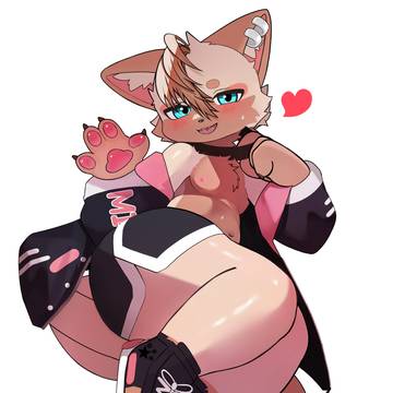 🐱🤎