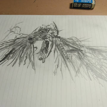 afo(最終形態)