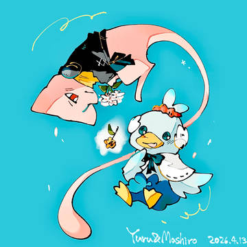 【きみコイ3】白い花と