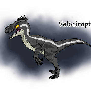 Verociraptor：from JURASSIC PARKⅢ
