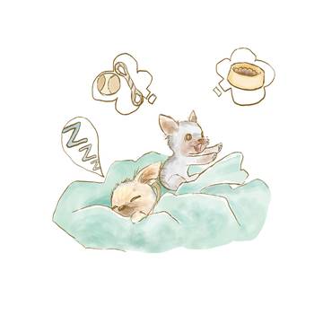 朝だ！
