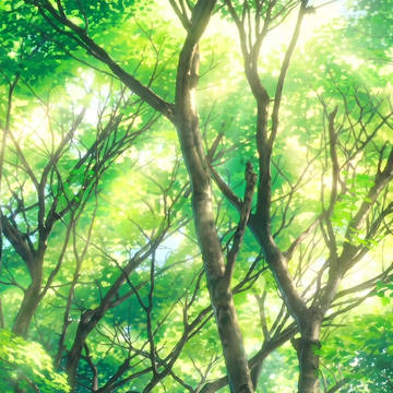 [時間差分アリ]木漏れ日のイラスト