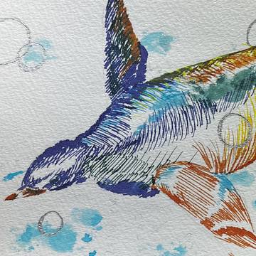 海のトリ