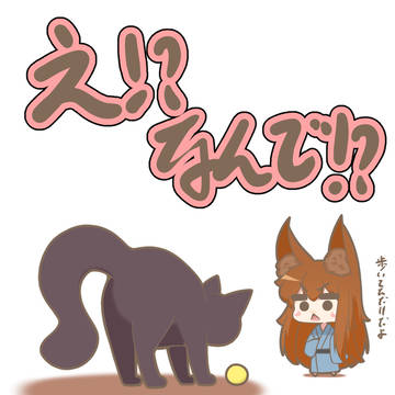 やんのかニャンコ