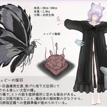 蟲研究レポートEX_No.13