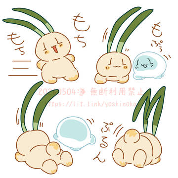 もちぷる（20250504）