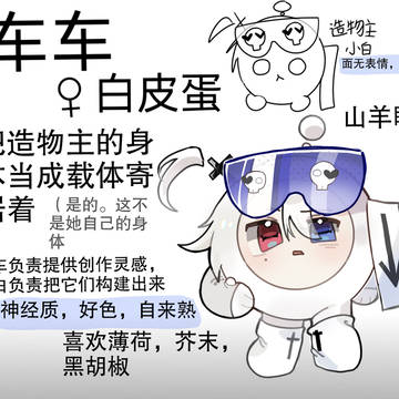 自设姐