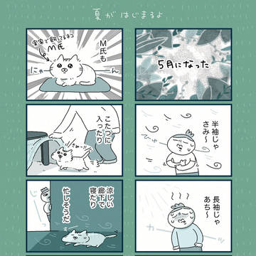 夏がはじまるよ