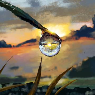 水滴