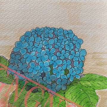 試し塗り
