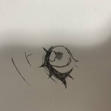 お目目！