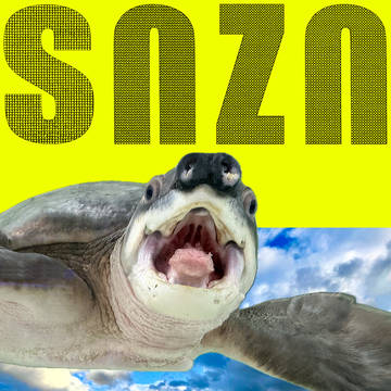 snzn-kame2026