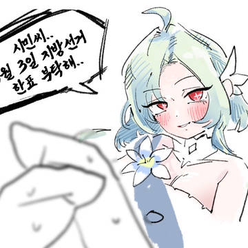 하이데마리