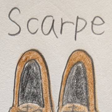Scarpe