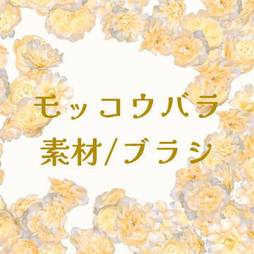 モッコウバラブラシとペン先用素材