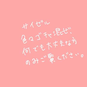サイゼルまとめ4