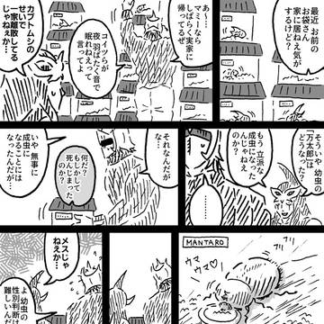 カブトムシの顛末