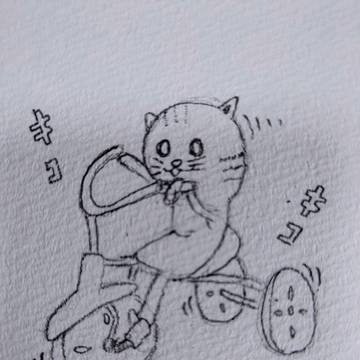 あらゆる猫🐱ちゃん！