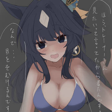 どうするトレーナー