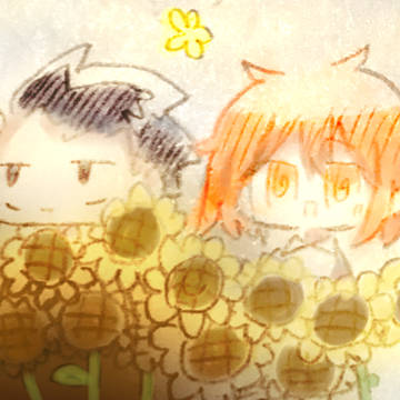 🌻🌺コンビのFA(キャプションを必ず読んでください)