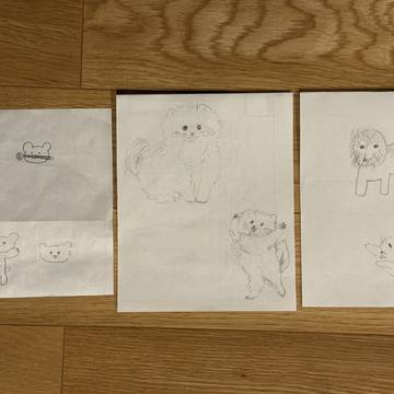 ポメラニアンのぽんちゃん