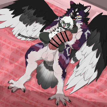 CM for Anonymous & PokeandP!
