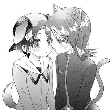 ヒビシル⑤
