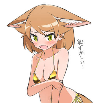 金ビキニセグロジャッカルちゃん