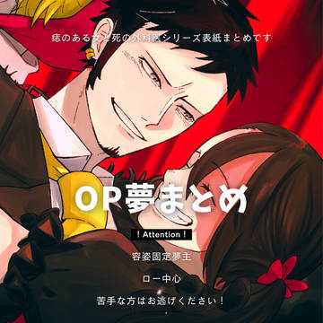 OP夢小説表紙まとめ その2