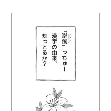 “躑躅”の由来