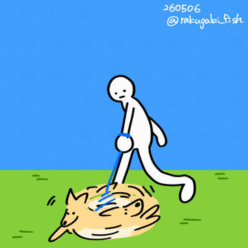 台風の散歩