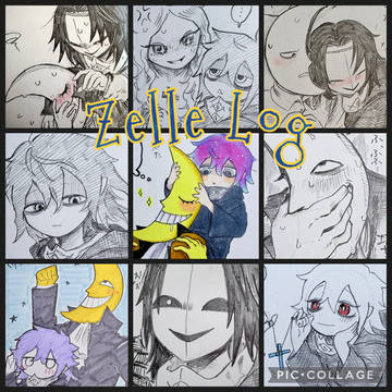 Zelleログ