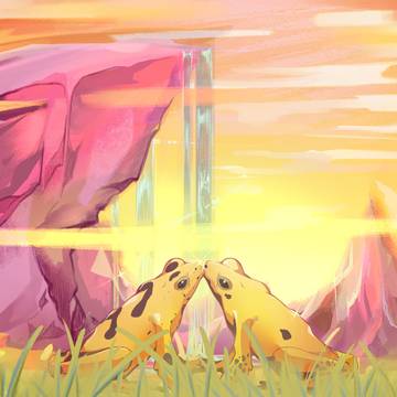 Yellow Frogs (6/6)
