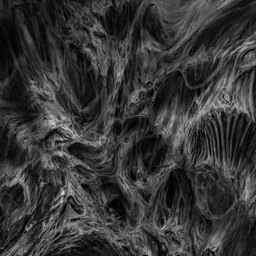 風景画