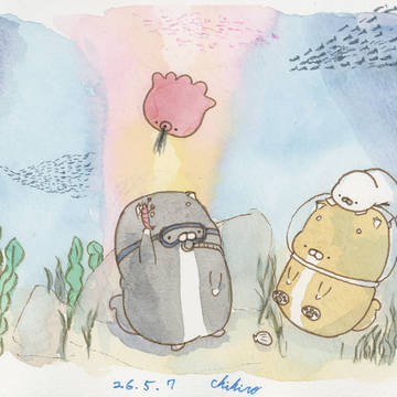 ほよまるのたのた日記 260507