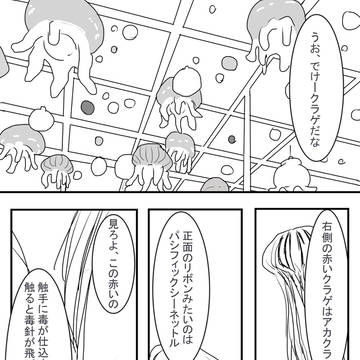 海月、Jellyfish、メデューサ(駆為)